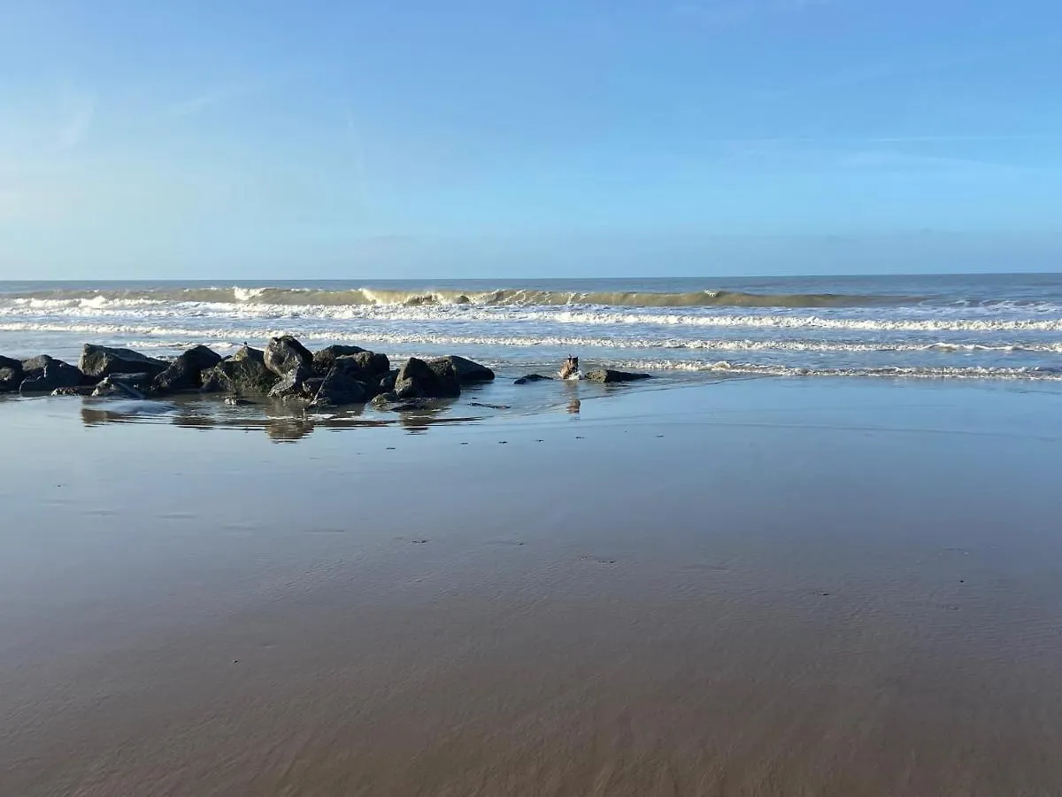 Ruim Zonnig Appartement Op 50M Van Strand Ostende