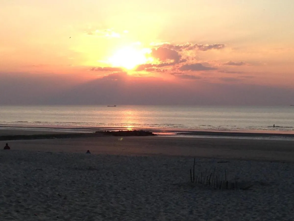アパート Ruim Zonnig Appartement Op 50M Van Strand オステンド